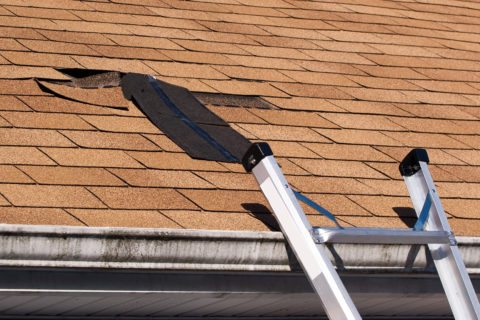 fixing-damaged-roof-shingles-a-section-was-blown-off-after-a-storm-with-high-winds-causing-a-potential-leak_HKjeGD80Si